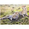 Image 1 : LA S13 Framed Artwork “Siesta Cheetah”, by Steve Hamrick