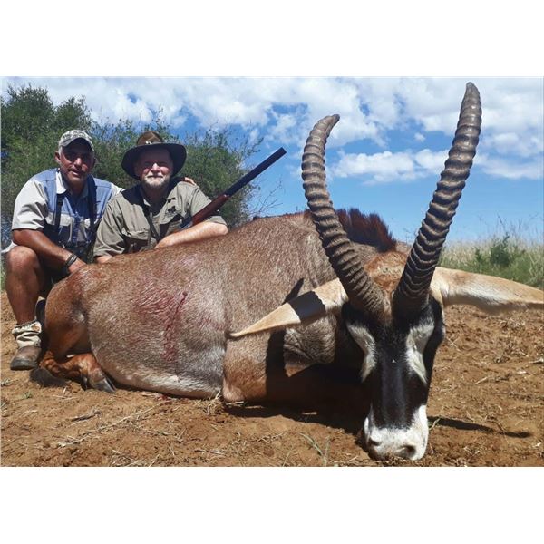 LA S15 10 Day South Africa Roan, Blue Wildebeest, Cull, and Impala Safari for Two Hunters