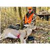 Image 2 : LA S19 5 Day Missouri Whitetail Buck & Doe Archery Hunt for 1 Hunter. MUST bring one add'l hunter
