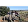 Image 2 : LA S21 7 Day Vita Dart Southern White Rhino Hunt for One Hunter and One Non-Hunter