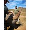 Image 6 : LA S21 7 Day Vita Dart Southern White Rhino Hunt for One Hunter and One Non-Hunter