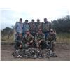 Image 3 : LA S23 4 Day High Volume Argentina Dove and Pigeon Hunt for Three Hunters