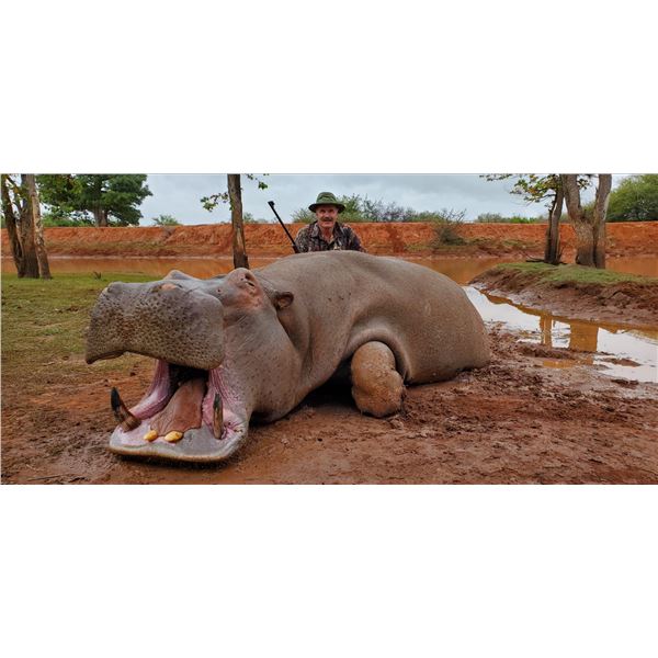 LA S24 6 Day South Africa Hippo Hunt for One Hunter & One Non-Hunter includes One Hippo