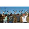 Image 2 : LA S25 5 Day Mexico Coues Deer Hunt for 2 Hunters includes Trophy Fee for One Coues Deer per Hunter