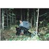 Image 18 : LA S29 6 Day Minnesota Black Bear Hunt for One Hunter