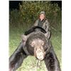 Image 4 : LA S29 6 Day Minnesota Black Bear Hunt for One Hunter