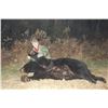 Image 7 : LA S29 6 Day Minnesota Black Bear Hunt for One Hunter