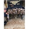 Image 1 : LA S35 4 Day Arkansas Waterfowl Hunt for Two Hunters