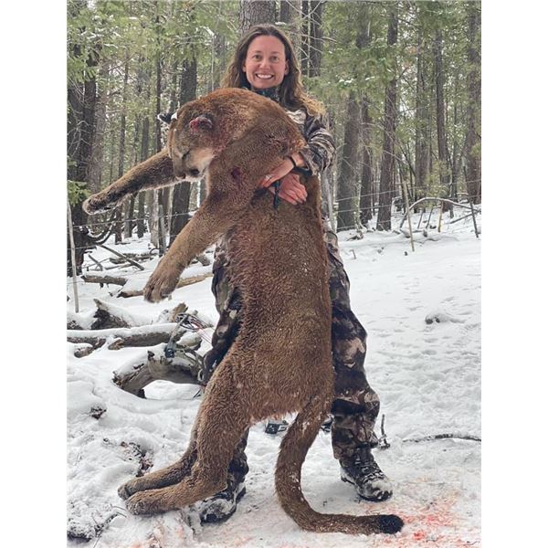 LA S37 5 Day 1x1 New Mexico Mountain Lion Hunt for 1 Hunter & 1 Non-Hunter