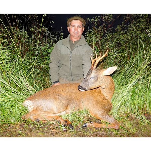 LA S38 7 Day Scotland Roe Deer Hunt for One Hunter includes Trophy Fees for Two Roe Bucks