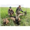 Image 5 : LA S40   3 Day Serbia Wild Boar Hunt & 2 Day Seeing for 1 Hunter & 1 Non-Hunter includes 1 Wild Boar
