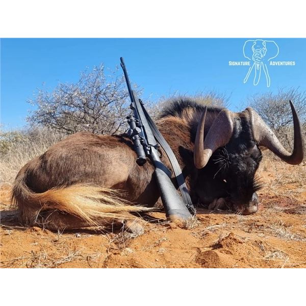 LA S42 5 Day So. Africa Plains Hunt for 2 to 4 Hunters includes $1,000 Trophy Fee Credit per Hunter