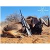 Image 1 : LA S42 5 Day So. Africa Plains Hunt for 2 to 4 Hunters includes $1,000 Trophy Fee Credit per Hunter