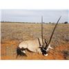 Image 4 : LA S42 5 Day So. Africa Plains Hunt for 2 to 4 Hunters includes $1,000 Trophy Fee Credit per Hunter