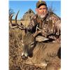 Image 7 : SL18 - MISSOURI WHITETAIL HUNT FOR 2 HUNTERS