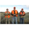 Image 8 : 3 day 3 night Upland Bird Hunt - South Dakota for 2 Hunters