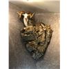 Image 3 : Life Sized sheep, goat, deer or antelope Mount