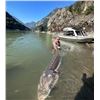 Image 1 : 1 day Sturgeon fishing in the Fraser Canyon with 2 night stay in luxury domes