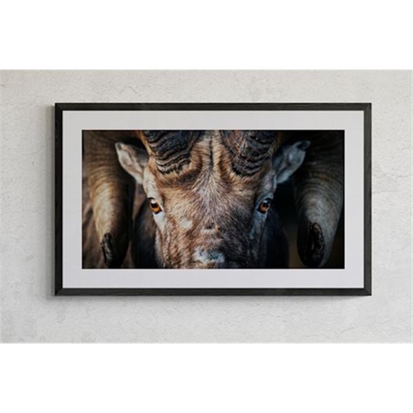 “The Old Guard” Signed & Framed Print from Adam Foss