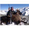 Image 1 : 5 Tahr Hunt- New Zealand for 1 Hunter and 1 Non Hunter