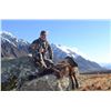 Image 2 : 5 Tahr Hunt- New Zealand for 1 Hunter and 1 Non Hunter