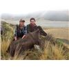 Image 3 : 5 Tahr Hunt- New Zealand for 1 Hunter and 1 Non Hunter