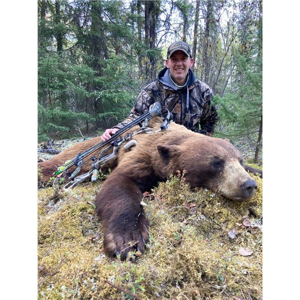 6 Day Black Bear Hunt for One Hunter