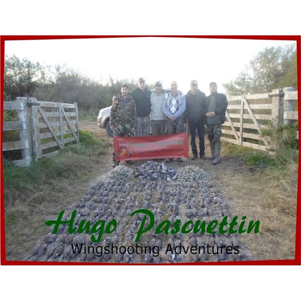Dove and Pigeon hunting in Argentina with HP Wingshooting Adventures