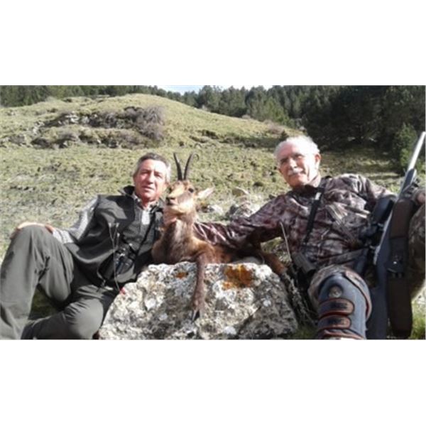 Hunt with Iberian Hunting Experience, 2022 SCI San Antonio Outfitter of the Year,  for 2 Pyrenean Ch
