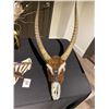 Image 2 : Horny Head Waterbuck