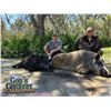 Image 5 : Florida Gator & Hog Hunt for 1 w/Gods Country Outfitters