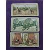Image 1 : 5 Stereoscope slides