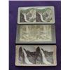 Image 1 : 5 Stereoscope slides