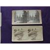 Image 2 : 5 Stereoscope slides
