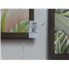 Image 2 : Parrot Paintings (2) - 16" x 40"