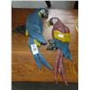 Image 1 : 2-Parrot Wall Décor - 2 X $