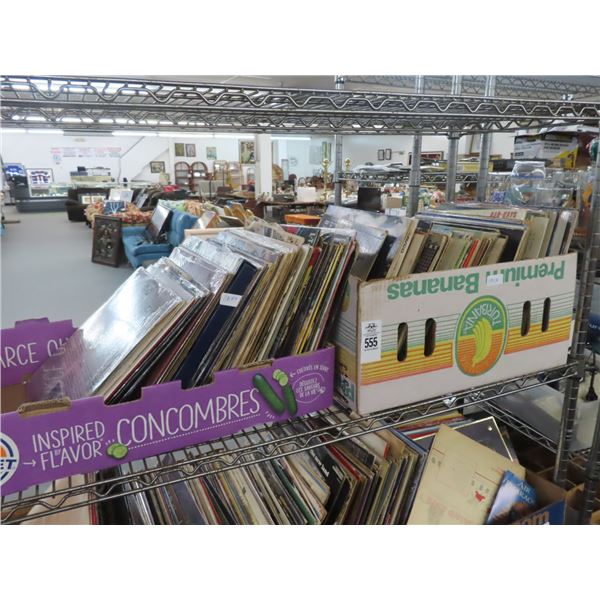 Shelf of Vinyl Records