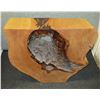 Image 1 : Wooden Live Edge Tree Trunk Table 41" x 15" x 35"H