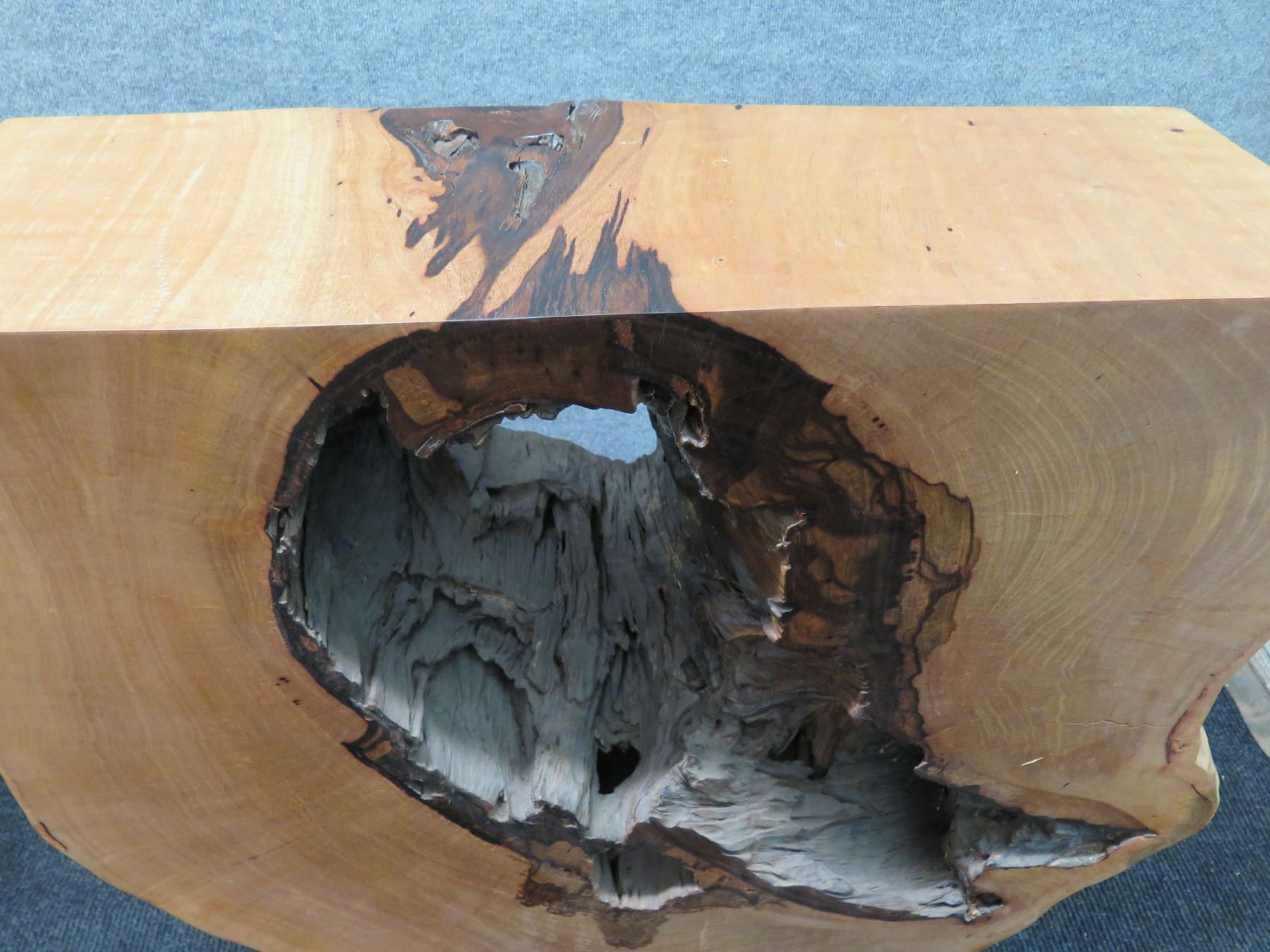 Wooden Live Edge Tree Trunk Table 41 X 15 X 35 H Wooden live edge tree trunk table 41 x 15 x 35 h