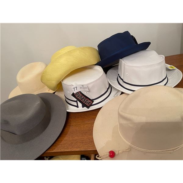 Vintage Summer Hat Collection