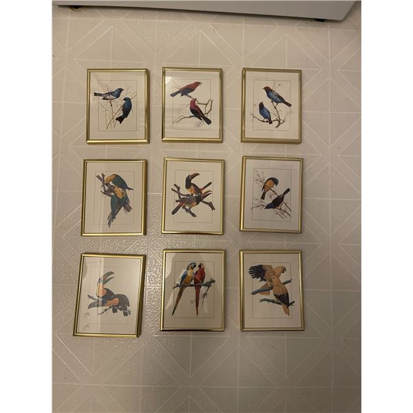Bird Art Card Collection 7.5 x 6