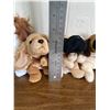 Image 2 : FOUR TY Beanie Baby Dogs