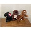 Image 1 : TY Beanie Babies, Cinders the Bear, Bucky the Beaver and  Runner the Ferret