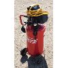 Image 1 : COLEMAN 125PSI AIR COMPRESSOR
