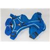 Image 1 : NEW LARGE BLUE FULL BODY PET HARNESS WITH LEAD