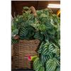 Image 1 : ARTIFICIAL PLANT IN WICKER BASKET