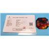 Image 1 : NATURAL FANCY CUT AMMOLITE GEM-