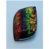Image 2 : NATURAL FANCY CUT AMMOLITE GEM-