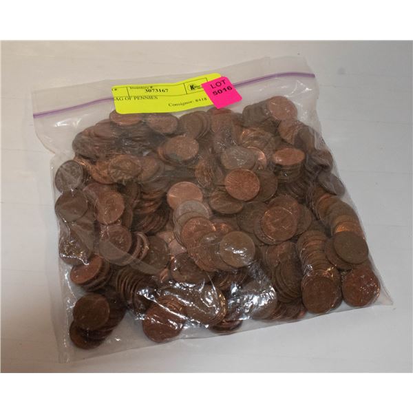 BAG OF PENNIES