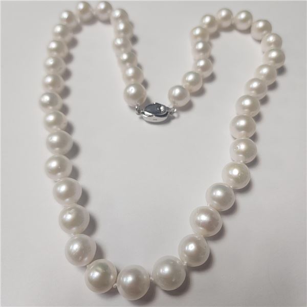 BZ1465-194 SILVER FRESH WATER PEARL 18" NECKLACE